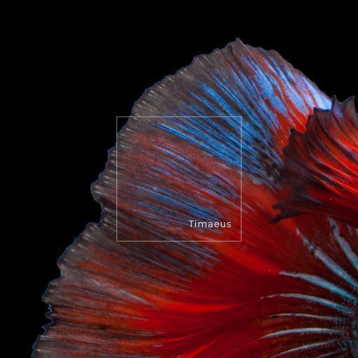 婬肉泬被cao烂H多p
